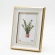 Porta-Retrato de Mesa Gold Elite 10x15 - Dourado com Branco